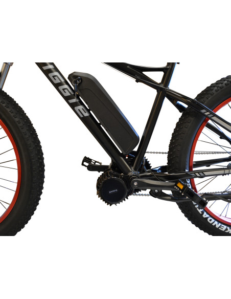 Elcykel kit - Konvertera din fatbike med 1000W elmotor!