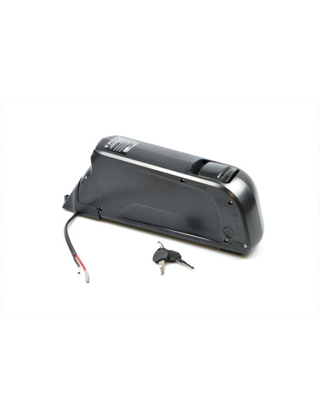 Köp 16 Ah delfin elcykelbatteri billigast här | Pris 3999. Fri frakt