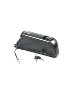 Köp 48V delfin elcykelbatteri billigast här | Pris 4999. Fri frakt