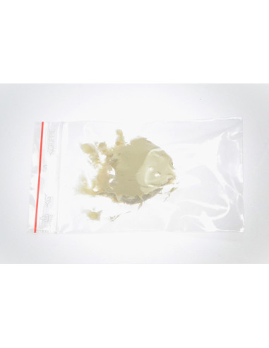 SOF nylon kugghjul - 36T